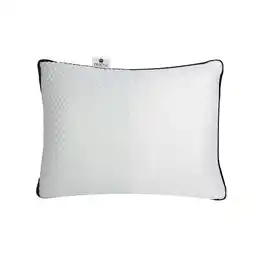 ANWB Troonz Hoofdkussen Pocketpillow Plus Wit aanbieding