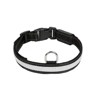 Zooplus Eyenimal RGB lichtgevende halsband maat M: 45-55cm nekomtrek hond aanbieding