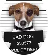 Praxis Aquavive WC-bril Bad Dog - Duroplast - Softclose - Verstelbaar - Met Hondenprint aanbieding