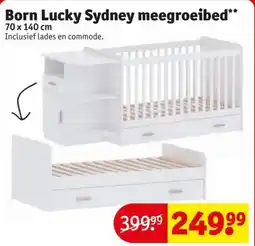 Kruidvat Born Lucky Sydney meegroeibed aanbieding