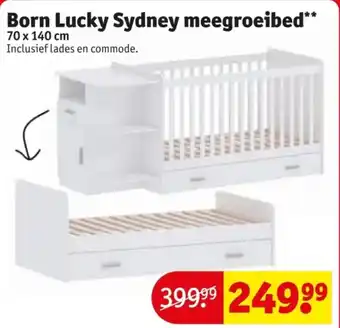 Kruidvat Born Lucky Sydney meegroeibed aanbieding