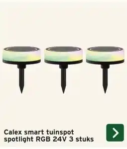 GAMMA Calex smart tuinspot spotlight RGB 24V aanbieding