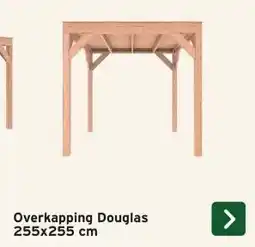 GAMMA Overkapping Douglas aanbieding