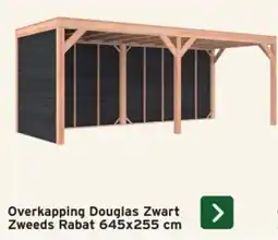 GAMMA Overkapping Douglas Zwart Zweeds Rabat aanbieding