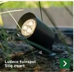 GAMMA Ludeco tuinspot Stig zwart aanbieding