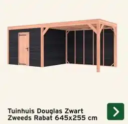 GAMMA Tuinhuis Douglas Zwart Zweeds Rabat aanbieding