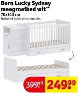 Kruidvat Born Lucky Sydney meegroeibed wit aanbieding