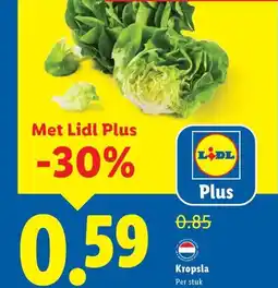 Lidl Kropsla aanbieding