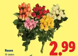 Lidl Rozen aanbieding