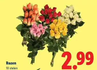 Lidl Rozen aanbieding