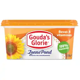 Albert Heijn Gouda's Glorie Zonnepond aanbieding