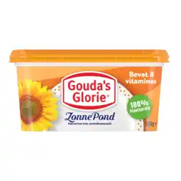Albert Heijn Gouda's Glorie Zonnepond aanbieding
