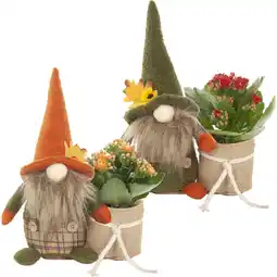 Albert Heijn AH Gnoom met kalanchoë aanbieding