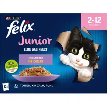 Albert Heijn Felix Elke dag feest junior mix selectie gelei aanbieding