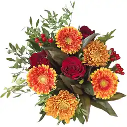 Albert Heijn AH Herfstchrysant aanbieding