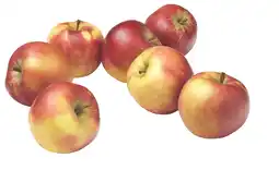 PLUS PLUS Handappels Elstar aanbieding