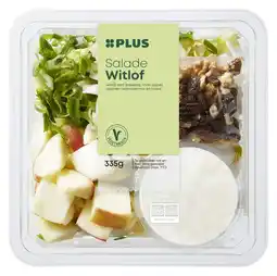 PLUS PLUS Salade Witlof aanbieding