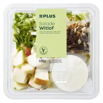 PLUS PLUS Salade Witlof aanbieding