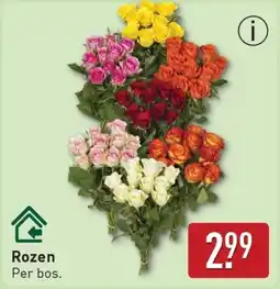ALDI Rozen aanbieding