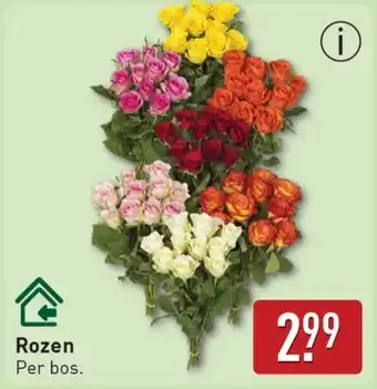 ALDI Rozen aanbieding
