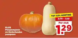 PLUS PLUS Flespompoen en Nederlandse pompoen aanbieding