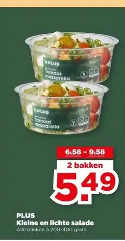 PLUS PLUS Kleine en lichte salade aanbieding