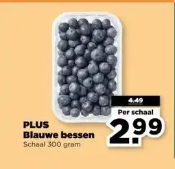 PLUS PLUS Blauwe bessen aanbieding
