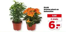 PLUS PLUS Groene plant en Kalanchoe aanbieding