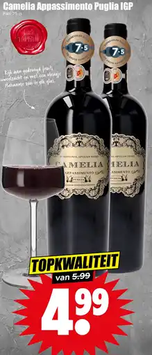 Dirk Camelia Appassimento Puglia IGP aanbieding