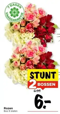 Vomar Voordeelmarkt Rozen aanbieding