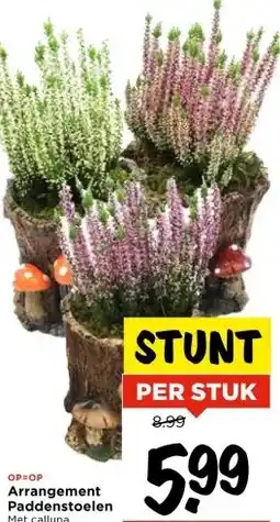Vomar Voordeelmarkt Arrangement Paddenstoelen aanbieding