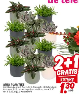 Dekamarkt Mini plantjes aanbieding
