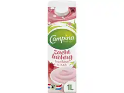 Hoogvliet Campina Dessert Zacht en Luchtig Framboos aanbieding