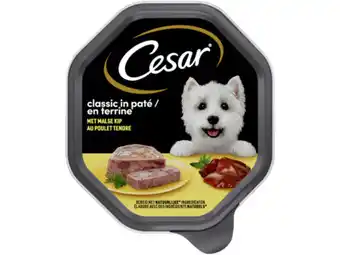 Hoogvliet Cesar Classic met kip aanbieding