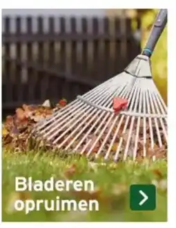 GAMMA Bladeren opruimen aanbieding