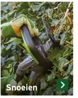GAMMA Snoeien aanbieding