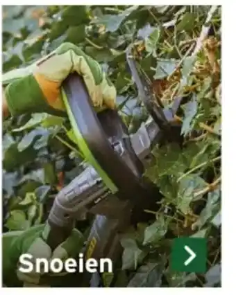 GAMMA Snoeien aanbieding