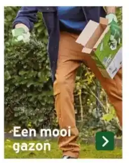 GAMMA Een mooi gazon aanbieding