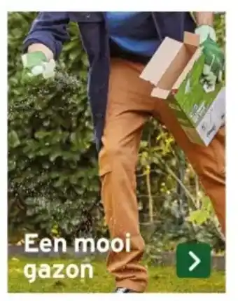 GAMMA Een mooi gazon aanbieding