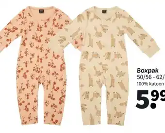 Wibra Boxpak aanbieding