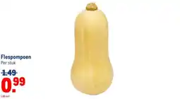 Makro Flespompoen aanbieding