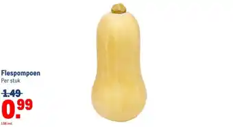 Makro Flespompoen aanbieding