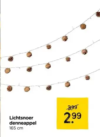 Xenos Lichtsnoer denneappel aanbieding