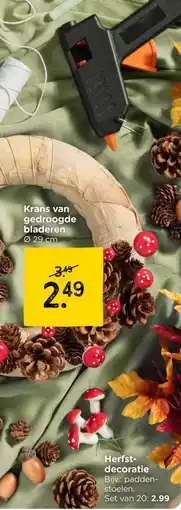Xenos Krans van gedroogde bladeren aanbieding