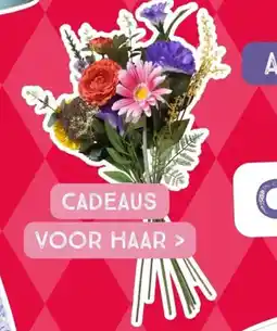 Xenos Cadeaus voor haar aanbieding