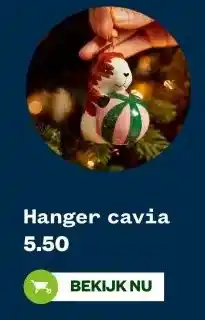 Welkoop Hanger cavia aanbieding