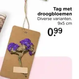 Xenos Tag met droogbloemen aanbieding