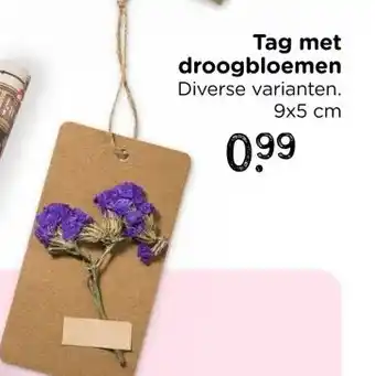 Xenos Tag met droogbloemen aanbieding