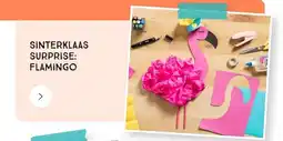 Xenos Sinterklaas surprise flamingo aanbieding