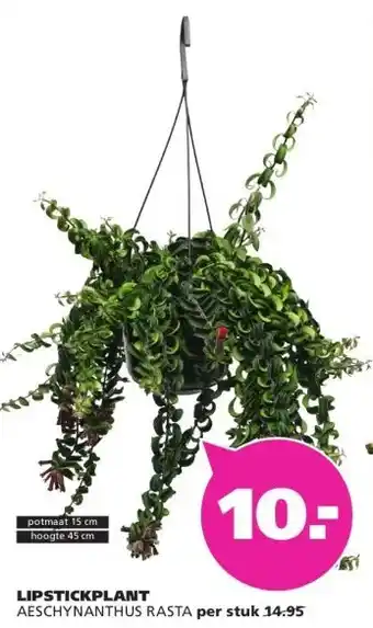 Ranzijn LIPSTICKPLANT AESCHYNANTHUS RASTA aanbieding